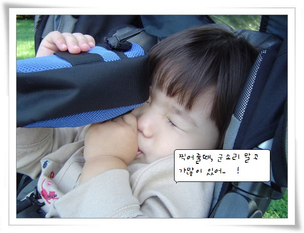 원본 크기의 사진을 보려면 클릭하세요
