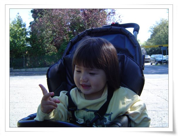 원본 크기의 사진을 보려면 클릭하세요