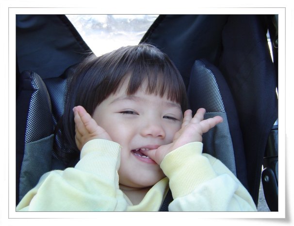 원본 크기의 사진을 보려면 클릭하세요