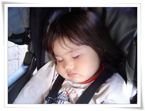 원본 크기의 사진을 보려면 클릭하세요