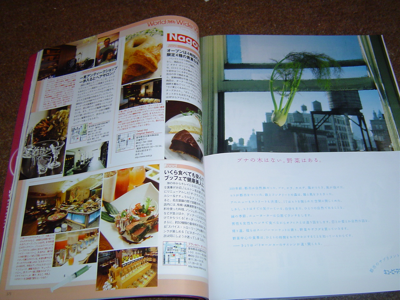 -= IMAGE 2 =-
원본 크기의 사진을 보려면 클릭하세요