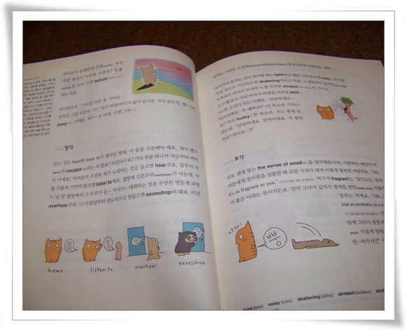원본 크기의 사진을 보려면 클릭하세요