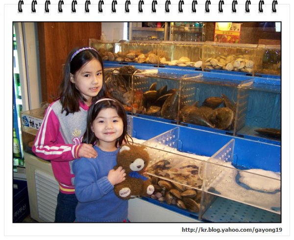 원본 크기의 사진을 보려면 클릭하세요