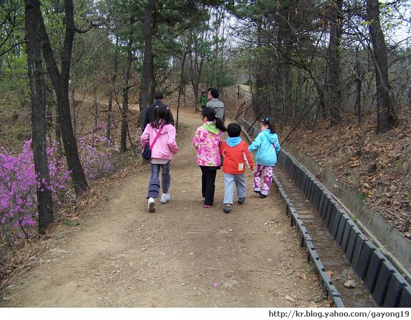 원본 크기의 사진을 보려면 클릭하세요