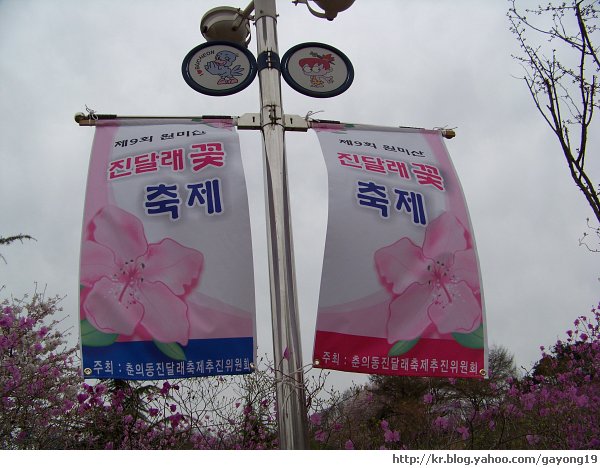 원본 크기의 사진을 보려면 클릭하세요