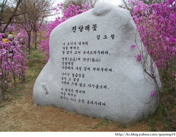 원본 크기의 사진을 보려면 클릭하세요