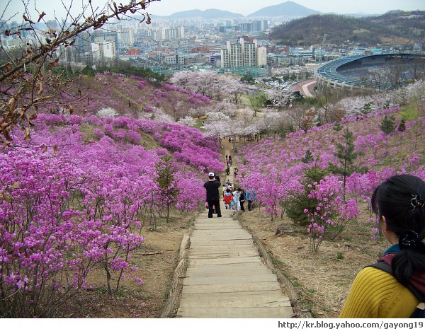 원본 크기의 사진을 보려면 클릭하세요