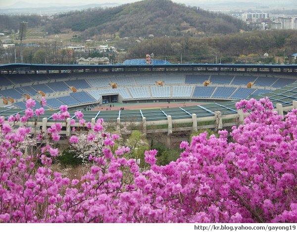 원본 크기의 사진을 보려면 클릭하세요