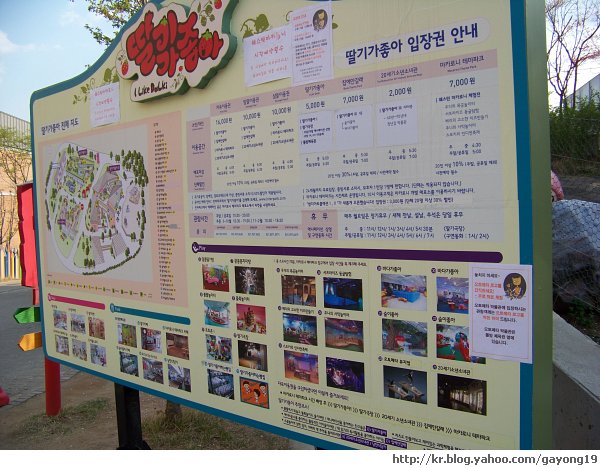 원본 크기의 사진을 보려면 클릭하세요
