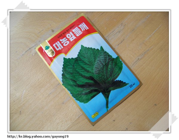 원본 크기의 사진을 보려면 클릭하세요