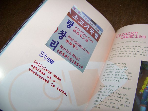 원본 크기의 사진을 보려면 클릭하세요