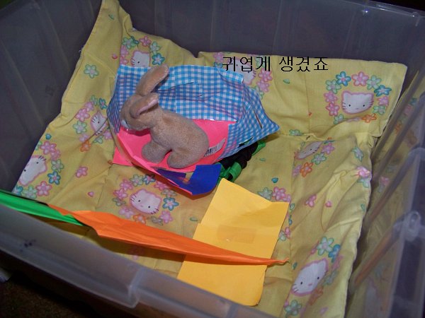 원본 크기의 사진을 보려면 클릭하세요