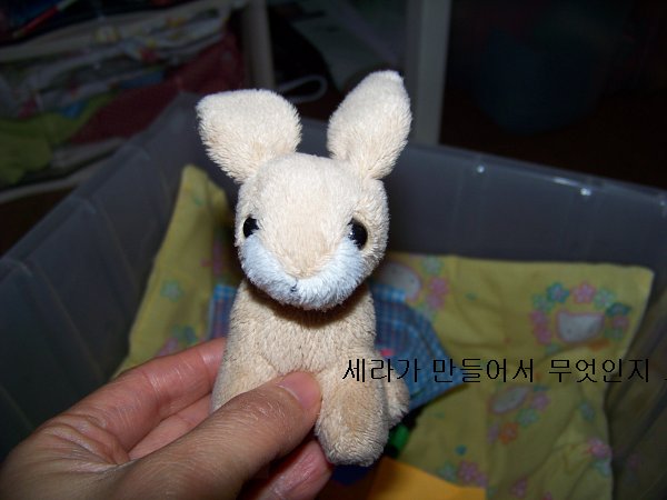 원본 크기의 사진을 보려면 클릭하세요