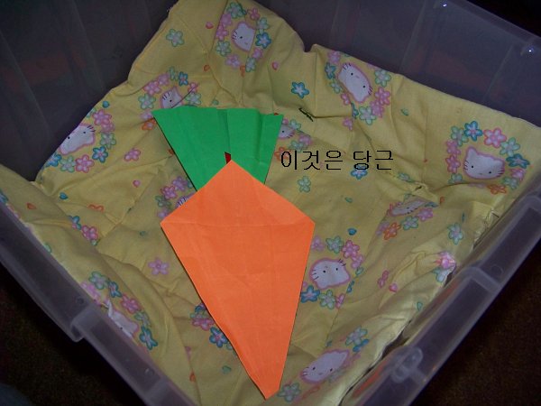 원본 크기의 사진을 보려면 클릭하세요