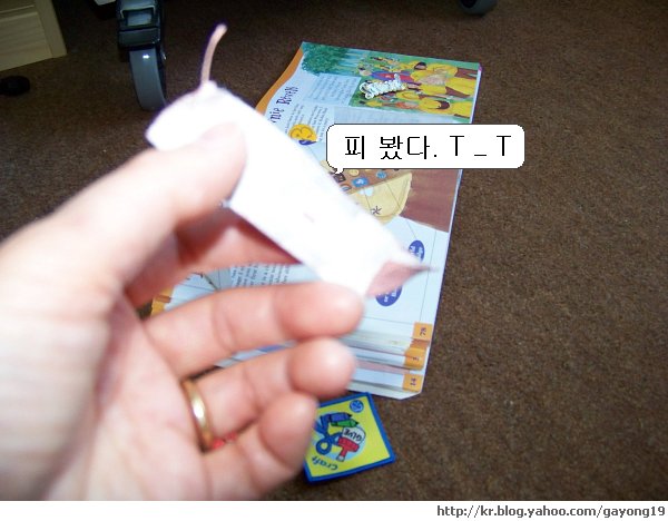 원본 크기의 사진을 보려면 클릭하세요