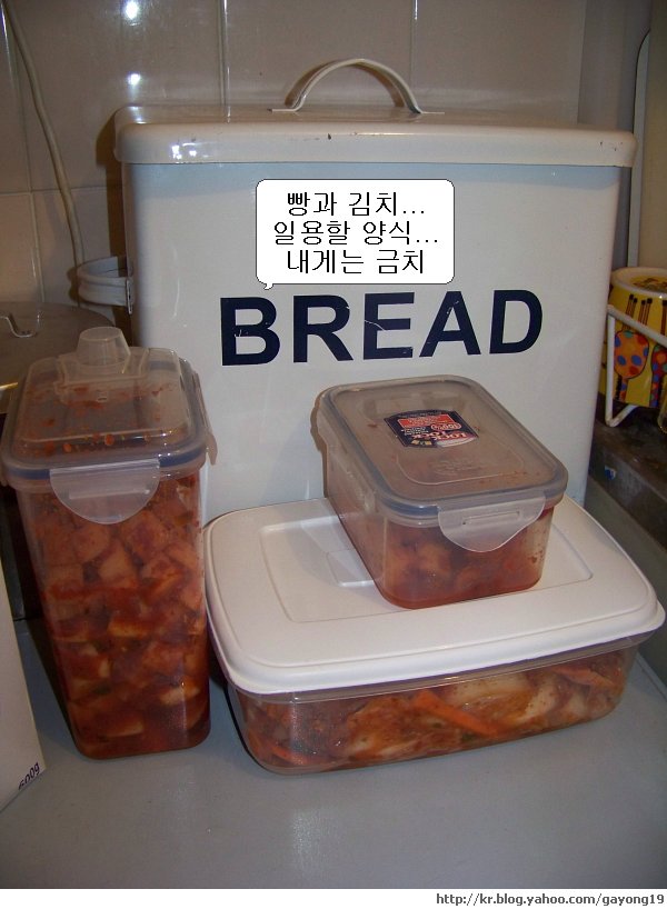 원본 크기의 사진을 보려면 클릭하세요