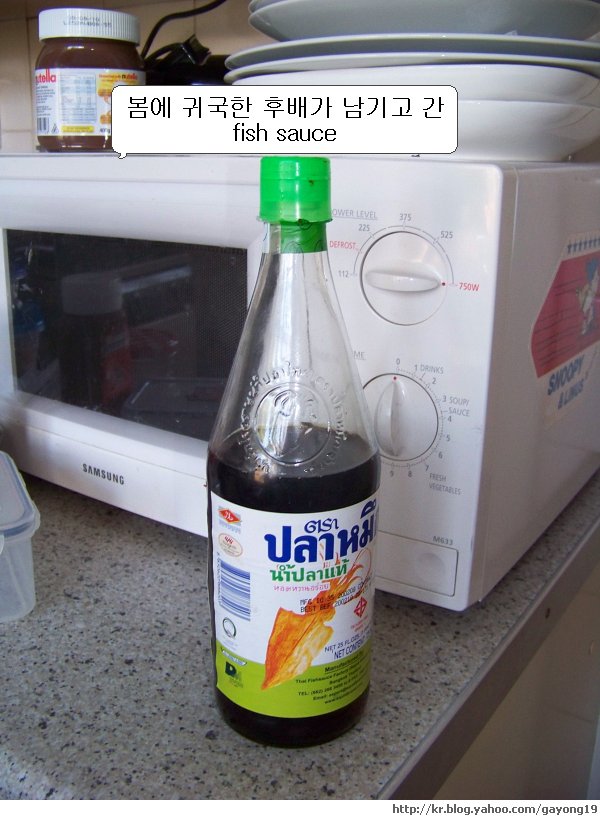 원본 크기의 사진을 보려면 클릭하세요