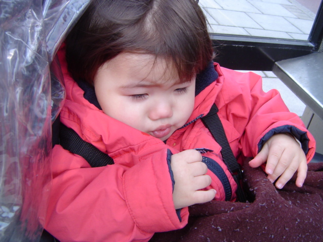 -= IMAGE 4 =-
원본 크기의 사진을 보려면 클릭하세요