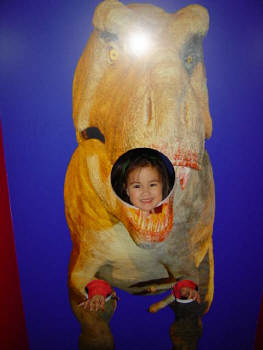 -= IMAGE 1 =-