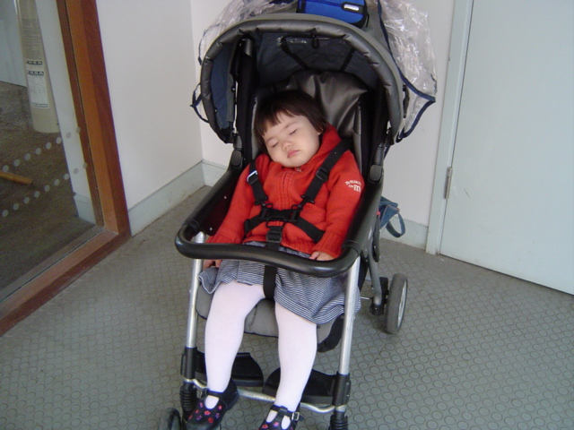 -= IMAGE 1 =-
원본 크기의 사진을 보려면 클릭하세요