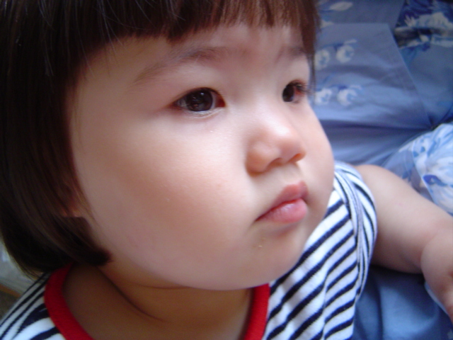 -= IMAGE 6 =-
원본 크기의 사진을 보려면 클릭하세요
