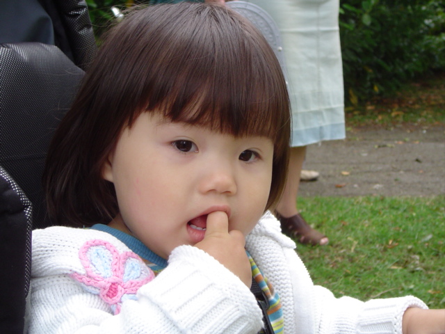 -= IMAGE 3 =-
원본 크기의 사진을 보려면 클릭하세요