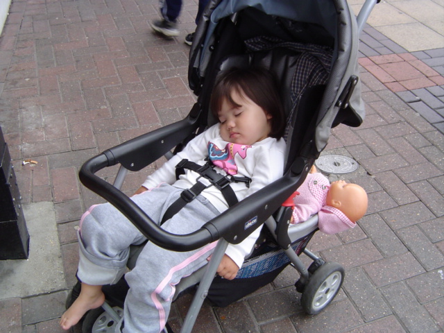 -= IMAGE 1 =-
원본 크기의 사진을 보려면 클릭하세요