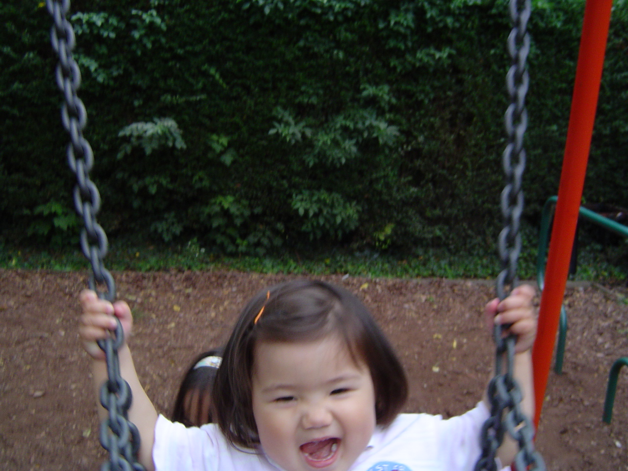 -= IMAGE 8 =-
원본 크기의 사진을 보려면 클릭하세요
